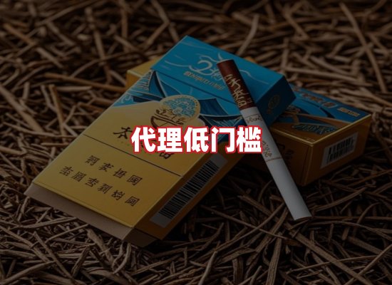 专业团队